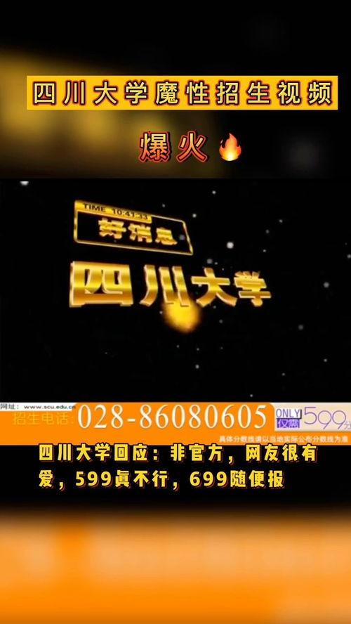 四川大学学生爆料视频最新,揭露校园内幕，真相令人震惊！