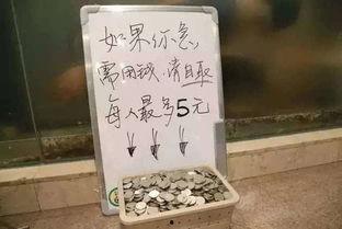 最新爆料毒硬币,最新爆料揭示其神秘面纱