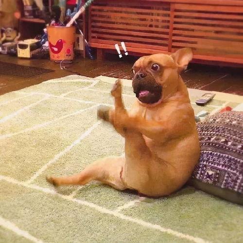 返厂最新爆料图片搞笑大全,笑料百出，揭秘生产线背后的欢乐瞬间