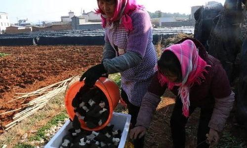 沾益最新爆料新闻视频播放,视频揭秘惊人内幕！